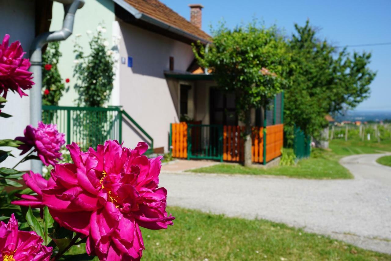 Holiday Home Maderka Strigova Eksteriør bilde
